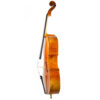 Cello Rudolf Mastri Premium Seitenansicht: fein geflammte Ahornzargen mit goldbraunem Lack