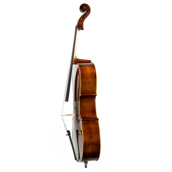 Cello Mastri Standard Seitenansicht: Ahornzargen mit dunkelbraunem Lack